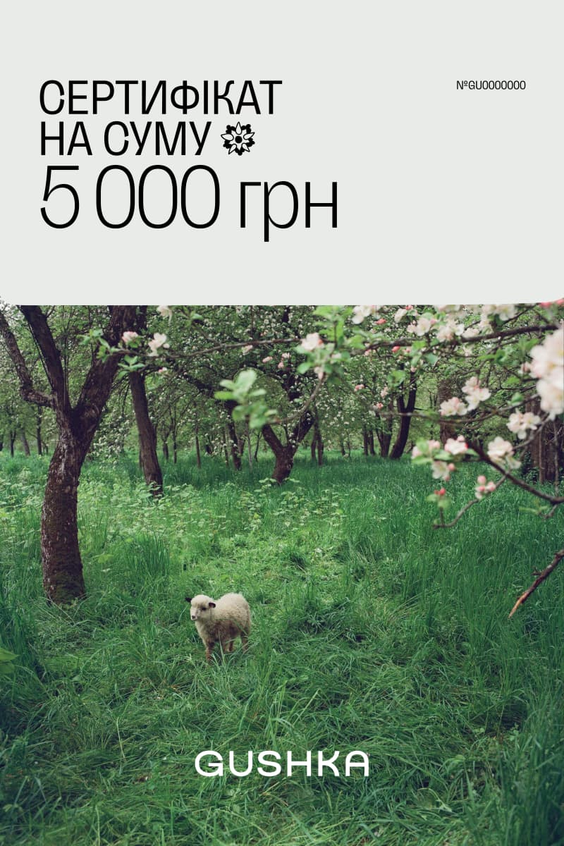 Подарунковий сертифікат на суму 5000грн-0