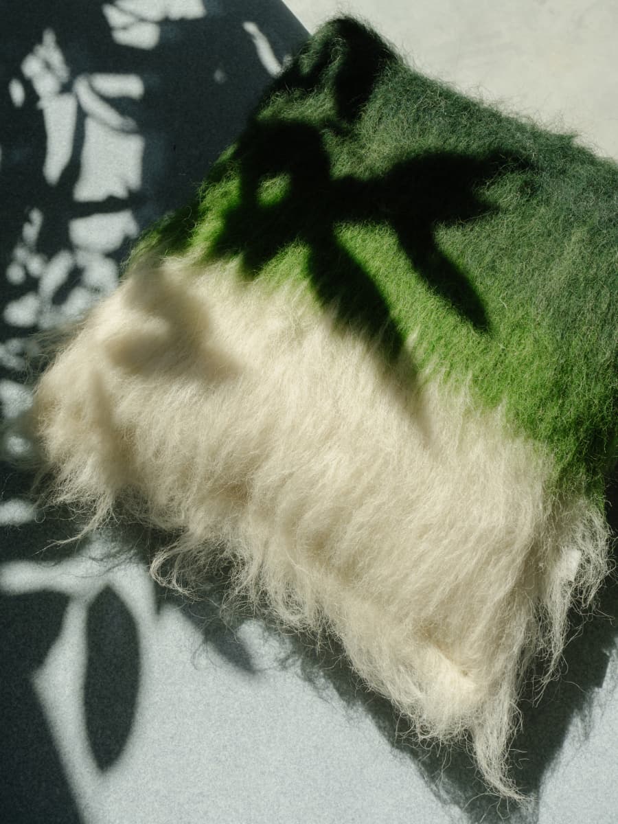 Cushion